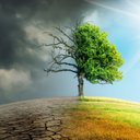 Wesley Steele - @ClimateMattersW - Twitter