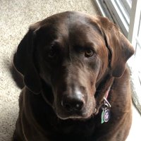 BJ Mayer (@lukebrayden) 's Twitter Profile
