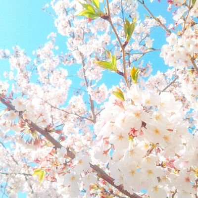 chItOsEさんのプロフィール画像