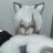 Anphabet17's profile image