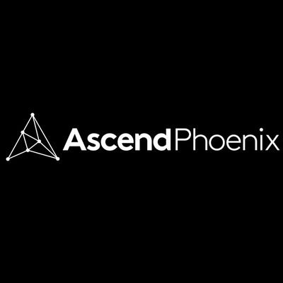 AscendPhoenix assists Arizona-based businesses in strengthening their management skills, accessing money, and growing market connections in a tailored approach.