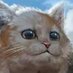 Cats out of context (@catouttacontext) Twitter profile photo