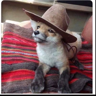 ReadyF0rAnythin's profile picture. 