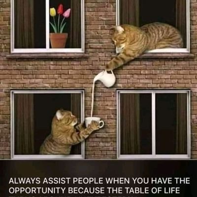 Manmwas5's profile picture. serious