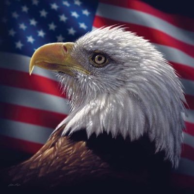 ⚓ USN Veteran | I Support the Constitution and Defend it! |
#NRA | ✨Day Trader - Swing Trader - Options Trader |✨