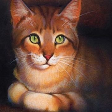 Crookedstarlove's profile picture. I love you, and I can’t bear the thought of losing you. -Crookedstar | He/Him | Leader of RiverClan | sfw only