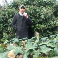 Monteagle (@monteagleband) 's Twitter Profile