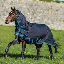 Manufacturer of Equestrian equipment of all kinds
info@https://t.co/Q8anoZUUSz - 00923348174093(what's up)https://t.co/Q8anoZUUSz