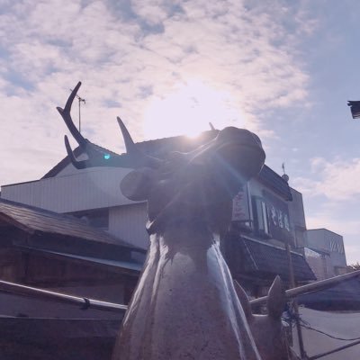 jomu🦌さんのプロフィール画像