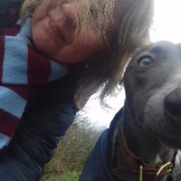 carol tiffin - @loubysgirl Twitter Profile Photo