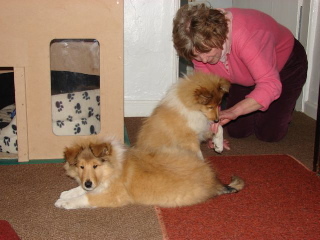 PatPosner1's profile picture. Published in children's books & Women's Fiction - nostalgic  series set in a1950s Prefab Village near Manchester and contemporary set in Lancashire & Yorkshire