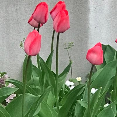 86WpbT8bV0Og74V's profile picture. 旅行大好き。神社仏閣大好き。風景、祭り、時計、ショー、スポーツ、テレビ、映画など、綺麗なもの、感動するものを見てテンションあげてます。