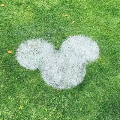 ゆうき 地元のホームセンターでtm9 トヨタ芝 が置いてあったので1束買っちゃいました 芝刈が少ない芝生なのでご家庭に向いてるみたいだけど 値段が高い 早速貼りましたが これからが楽しみです 芝生 芝生の庭 Tm9 トヨタ芝 芝張り T Co ゆうき 地元のホームセンターでtm9 トヨタ芝 が置いてあったので1束買っちゃいました 芝刈が少ない芝生なのでご家庭に向いてるみたいだけど 値段が高い 早速貼りましたが これからが楽しみです 芝生 芝生の庭 Tm9 トヨタ芝 芝張り T Co