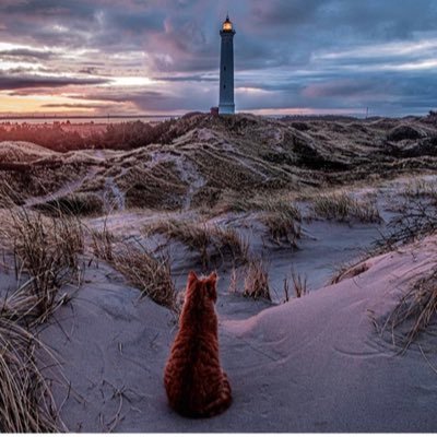 Naniiii_888's profile picture. 