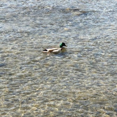 naxluRgwYLjBotd's profile picture. 