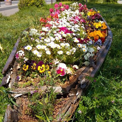 toto197609's profile picture. 千葉在住です。Excelが好きで勉強しています！