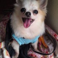 eponine622_ryusei0916 (@eponine622_jun) 's Twitter Profile