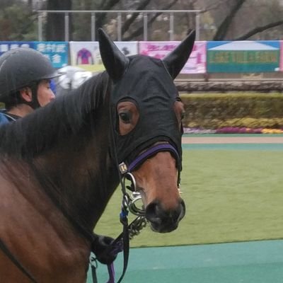 広尾サラブレッド倶楽部とDMMバヌーシーで一口馬主やってます!
(通算成績:42-30-30-39-24-208)
※地方運用中の成績は含まず
【主な現役出資馬】ミスティックロア、ベルウェザー、シンハナーダ、キングスコール、テラステラ
【引退功労馬】パラスアテナ、バスラットレオン、キングエルメス