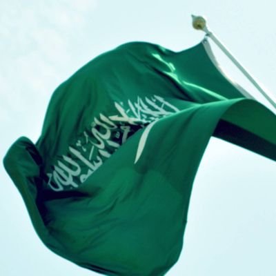 AhmedAlkhamis_1's profile picture. 