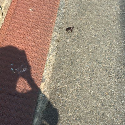 wannabe_youth's profile picture. yup!