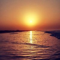 Only Positive Vibes (@onlypositivewin) 's Twitter Profile Photo Only Positive Vibes (@onlypositivewin) 's Twitter Profile Photo