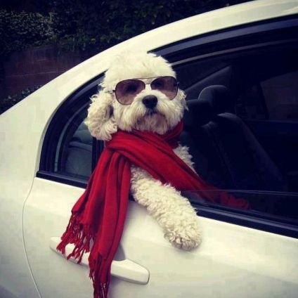 tuj0y3's profile picture. 