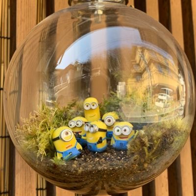 nIIfm7AvHjwgryo's profile picture. 