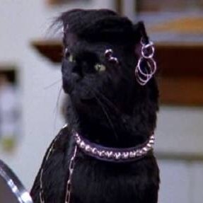 VioletJaynee's profile picture. 22, Writer, Dreamer. She/her. Autistic. Gay.