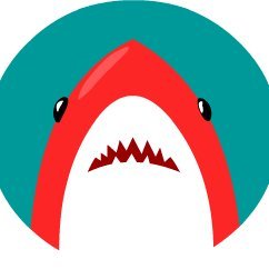 The Red Sharkさんのプロフィール画像