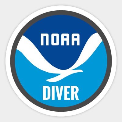 NOAADiver's profile picture. Ocean Diver, Explorer, Writer, Dive Watch Collector. Weather Fanatic. I enjoy science and the opportunity to #DiscoverYourPlanet