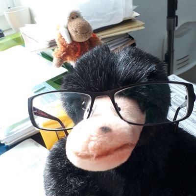 abgebrochene Biologin | Omnomnomics | nicht unmöglich, aber unwahrscheinlich unwahrscheinlich | bi/pan/demi/? | #notjustsad | ADHD | sie/she