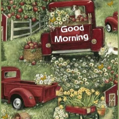 kim03889728's profile picture. Country Holidays Animals Classic Rock Music