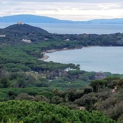 In questo pagina chiunque può scrivere ciò che vuole su Punta Ala con lo spirito costruttivo di suggerire anche possibili soluzioni ai problemi.
