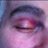 bunglebantam's profile image