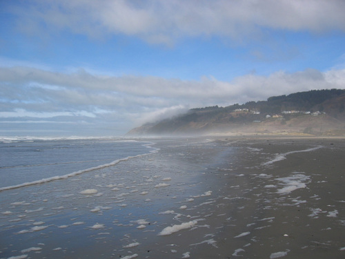 cedarsong's profile picture. indexer, birdwatcher, knitter, perplexed political observer