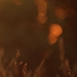 dovesandflowers's profile picture. dog lover