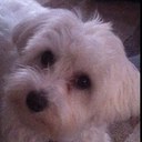 Mike McCourt - @mccourtmike - Twitter