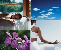 SatoriMassage's profile picture. Let Satori Holistic Massage enlighten you on the benefits of indulging your mind, body and spirit through the art of therapeutic medical massage.