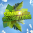 Summer Celebrations