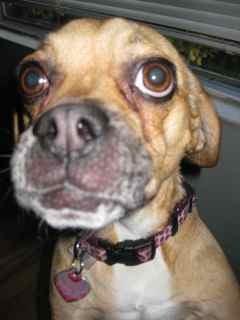 tnyberg's profile picture. trying to make good things in the world while always wearing a little purple