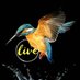 feelfree (@feelfree65724) Twitter profile photo feelfree (@feelfree65724) Twitter profile photo