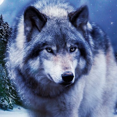 techy97450's profile picture. Gameur  fans des grands youtubers français, des jeux vidéos,de Nintendo et de Pokémon.
Principalement...