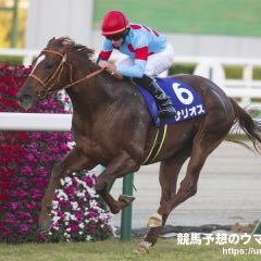 中央競馬、地方競馬、POG、FX、CFD