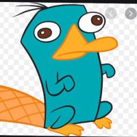 ParrythePletypus (@bonzo7767) 's Twitter Profile Photo ParrythePletypus (@bonzo7767) 's Twitter Profile Photo
