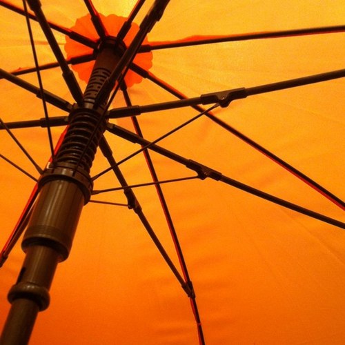 parapluieorange's profile picture. a bookish polyglot,classical musician; cares for Art,NGOs,Education Tech,Brain Cognition,Poverty Elimination&more:)