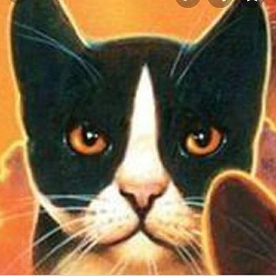 tallstargayking's profile picture. Hi! I'm Tallstar, here to spread love and positivity around the WCLU community!