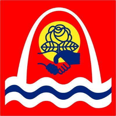 Saint Louis DSA 🌹 Profile