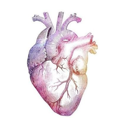 FPisitch's profile picture. i have a crush on u