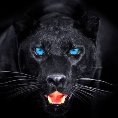 Blue_presidentT's profile picture. 1965 de ismin yazıldı kalplere...