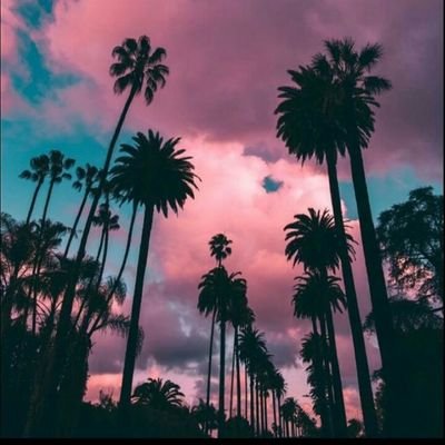 Asiphe45390082's profile picture. Wavy~Kid